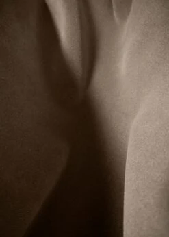 Gubi Beetle Stuhl Gepolstert / Kunststoffbasis, Sunday 034 -Gubi || Hay || &Tradition Verkäufe gubi beetle dining chair front black plastic 35