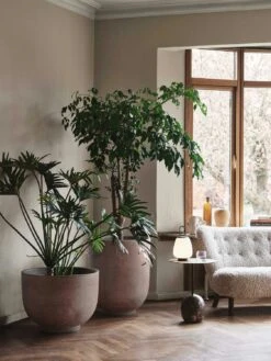 &Tradition Little Petra Sofa Vb2, In Geöltem Walnussholz / Schafleder Moonlight 7 &Tradition Little Petra Sofa Vb2, In Geöltem Walnussholz / Schafleder Moonlight -Gubi || Hay || &Tradition Verkäufe tradition little petra sofa vb2 in geoltem walnussholz 4